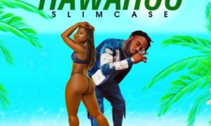 Slimcase Hawahoo