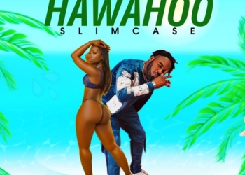 Slimcase Hawahoo