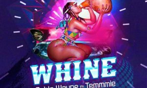 Pablo Wayne Whine Temmie Stunner