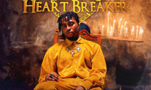 Aceberg TM Heart Breaker