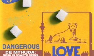 Tiwa Savage Dangerous Love (De Mthuda Born In Soweto Remix) De Methuda