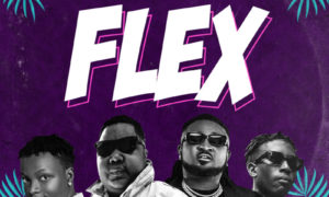Ceeza Milli Terri Bella Shmurda Flex