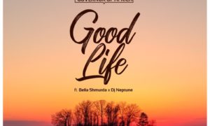 Good Life DJ Neptune Bella Shmurda