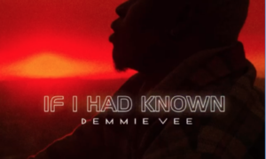 Demmie Vee If I Had Known Lyrics