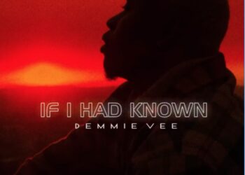 Demmie Vee If I Had Known Lyrics