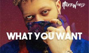 Mike World What You Want
