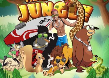Audio + Video Vibez - Vibez Jungle 3 Vibez Jungle