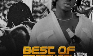 DJ Ace Spinz Best Of Fireboy DML (Tha Mixtape 2020)