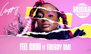 Cuppy Feel Good Fireboy DML