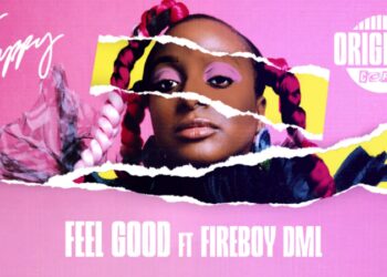 Cuppy Feel Good Fireboy DML