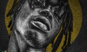 Fireboy DML Remember Me