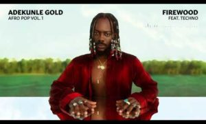 Adekunle Gold Firewood Tekno