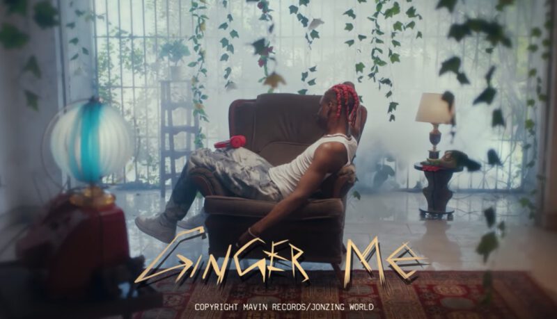 Rema - Ginger Me Video 1 Rema