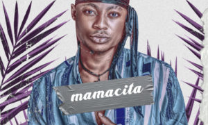 Tino Payson Mamacita Electra