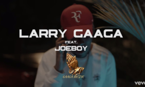 Larry Gaaga Joeboy Slow Burner