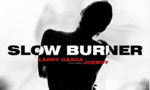 Larry Gaaga Joeboy Slow Burner