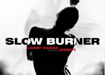 Larry Gaaga Joeboy Slow Burner