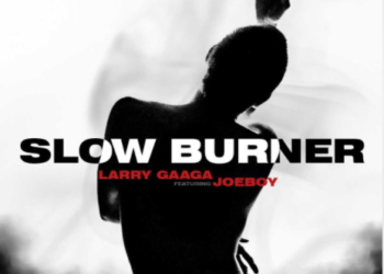 Larry Gaaga Joeboy Slow Burner