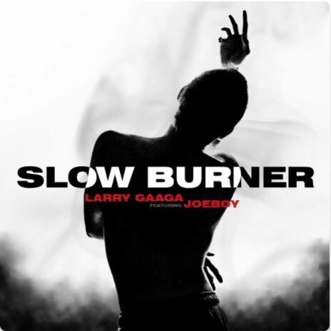 Audio + Video Larry Gaaga x Joeboy - Slow Burner 1 Larry
