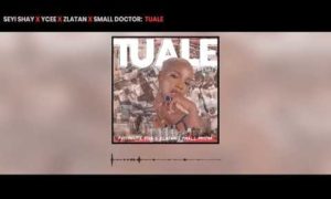 Seyi Shay, Tuale Lyrics, Ycee, Zlatan, Small Doctor