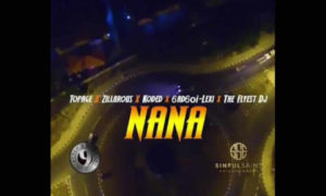 TopAge Zillarous NANA