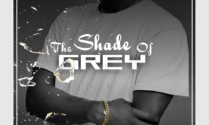 Gide Grey The Shade Of Grey