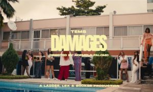 Tems Damages Video