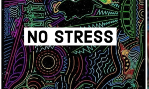 Wizkid No Stress Instrumental