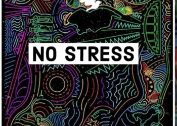 Wizkid No Stress Instrumental