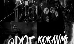 Qdot Kokanmi