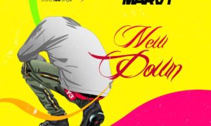 Marvy New Down