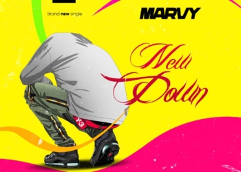 Marvy New Down