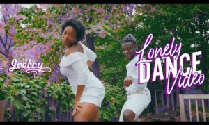 Joeboy Lonely Dance Video
