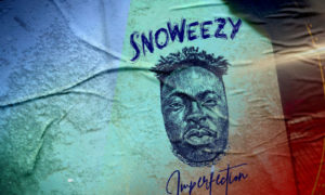 Snoweezy Imperfection