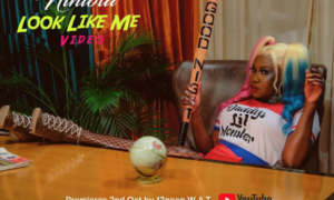 Niniola Look Like Me