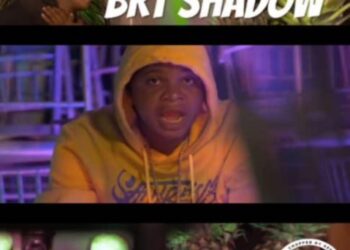 Brt Shadow Vine And Vibes