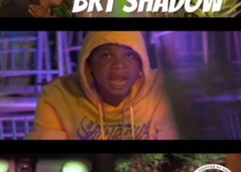 Brt Shadow Vine And Vibes