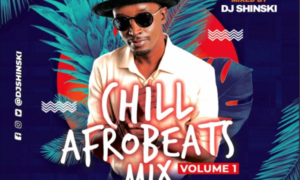 Dj Shinski Chill Afrobeat 2020 Naija Mix Vol 1