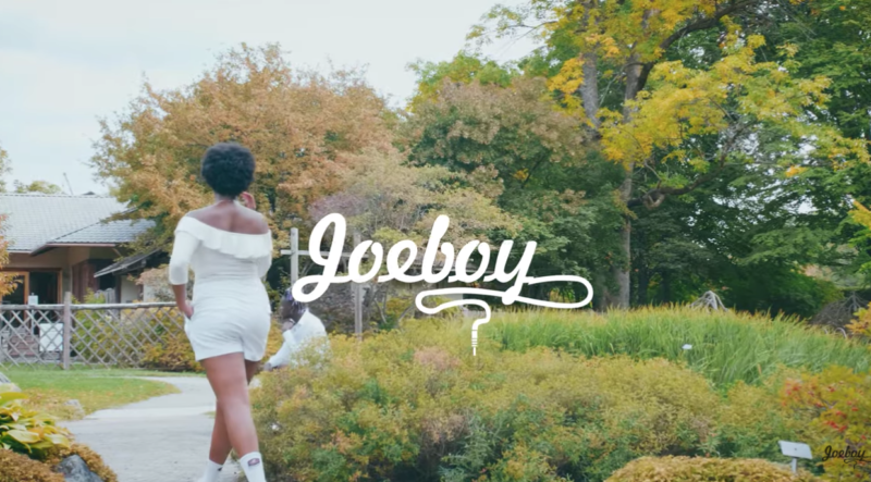 Dance Video] Joeboy - "Lonely" « tooXclusive