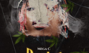 Mega C Rezler