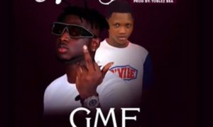 GME No Stress Gboyega Softi