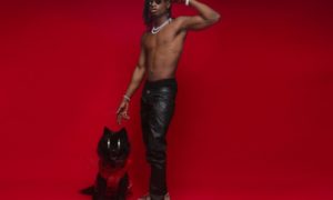 Lil Kesh Fireboy DML