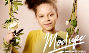 Mehcosa - Modupe