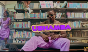 Harmonize Ushamba