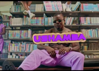Harmonize Ushamba
