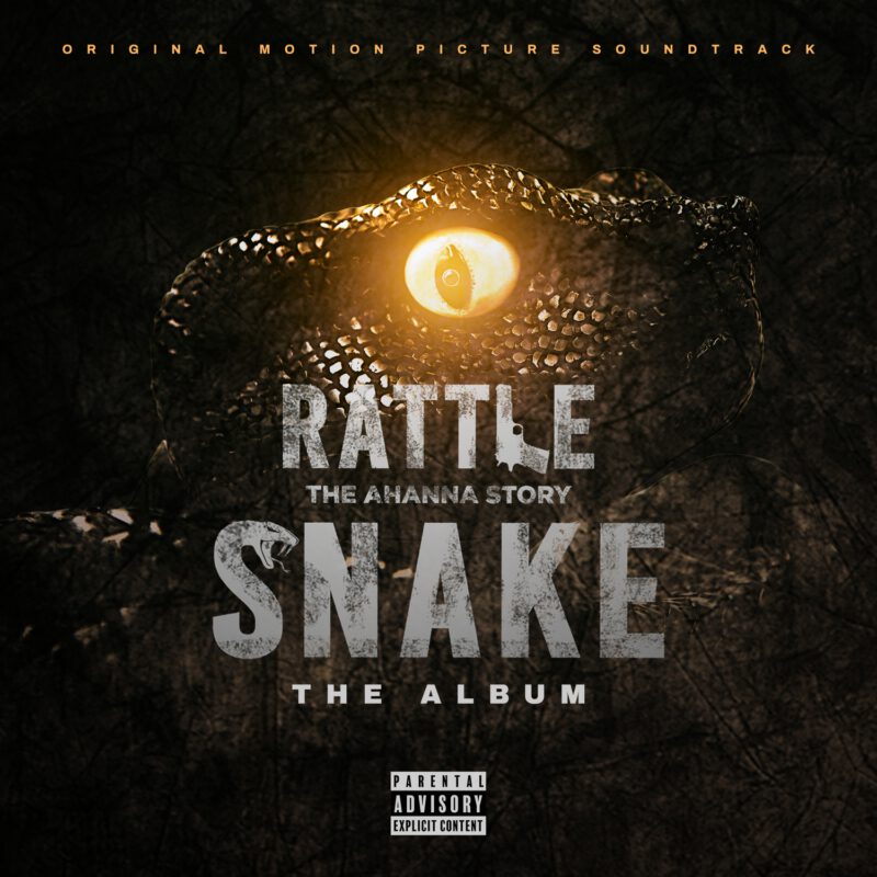 Album Larry Gaaga - Rattle Snake ft. 2Baba, Sound Sultan, Umu Obiligbo, Patoranking, D'banj, & Others 1 Larry