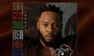 Flavour Of Africa Album