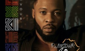Flavour Flavour of Africa