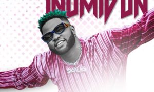 Skales Inumidun