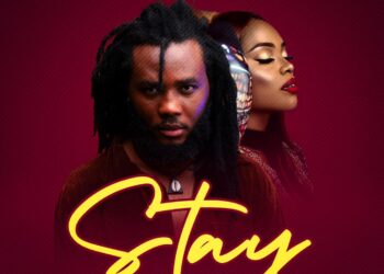 Stay artwork